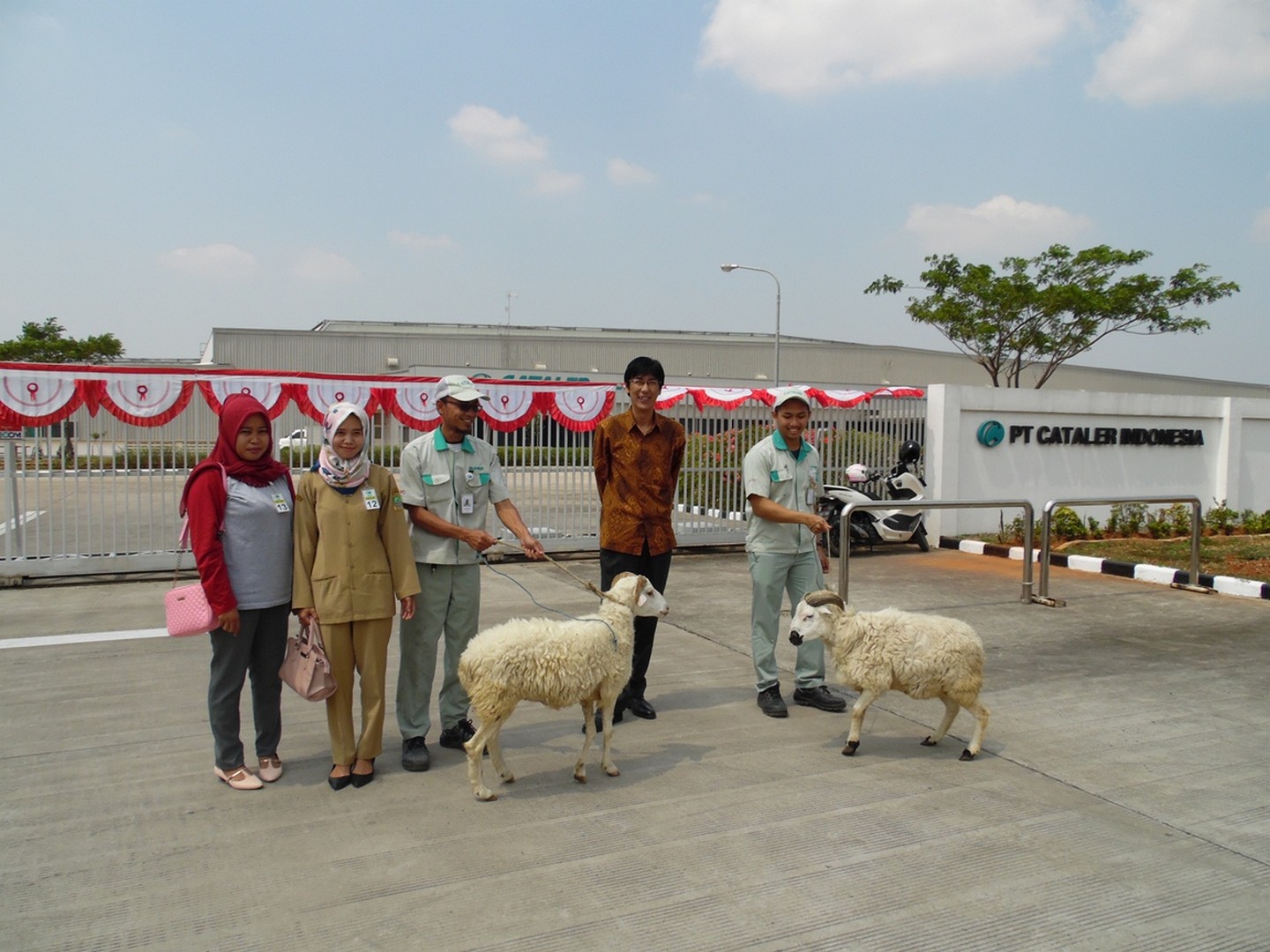 Bantuan Hewan Qurban